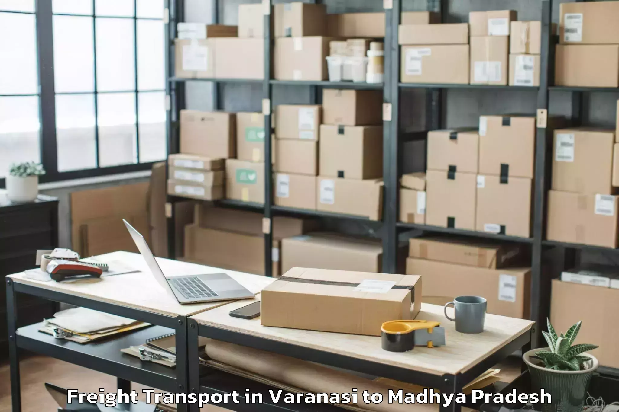 Get Varanasi to Buxwaha Freight Transport